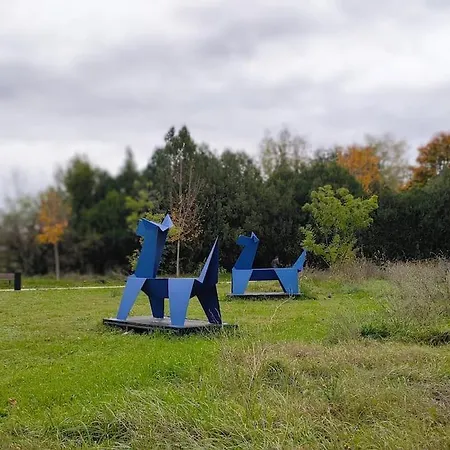 Botel Péniche Cocoun